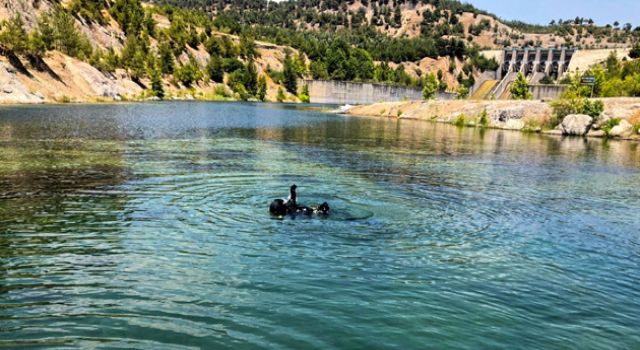 Akdeniz Tecrübesi Doğu Anadolu’da Can Kurtaracak