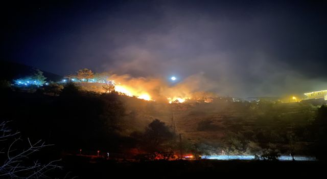 Kahramanmaraş'ta ormanlık alanda çıkan yangın söndürüldü