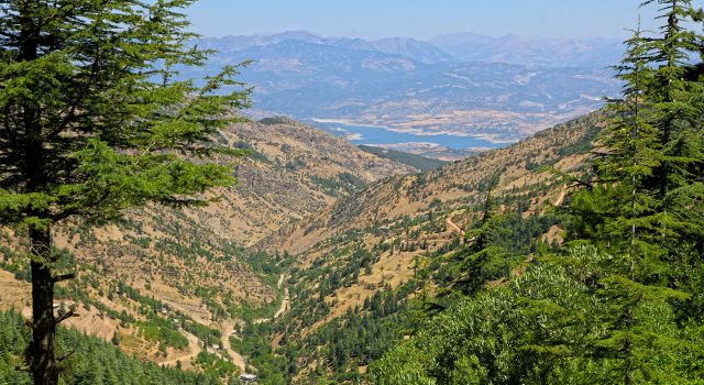 Yavşan Yaylası Yolu Yenileniyor