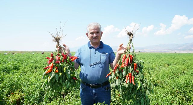 Çiftçi Fide Desteğinden Memnun