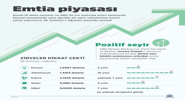 Emtia Piyasası Yatırımcısını Sevindirdi