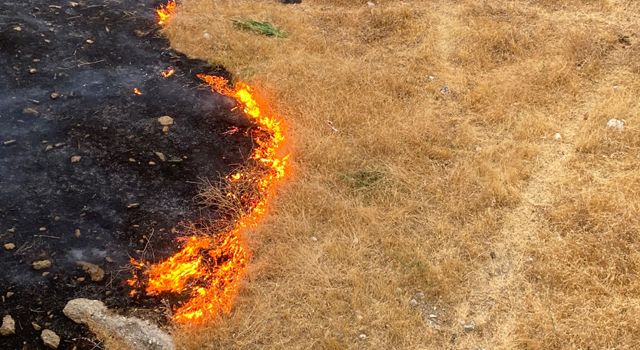 Kahramanmaraş'ta Çıkan Anız Yangını Söndürüldü