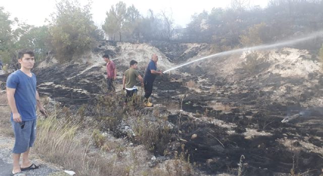 Kahramanmaraş'ta Ormanlık Alanda Çıkan Yangın Söndürüldü