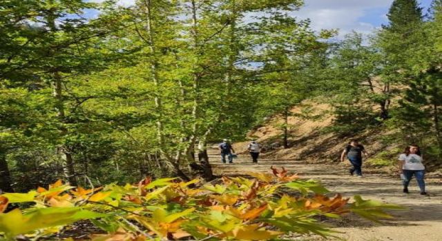 Doğa Yürüyüşleri’nin İlki Göksun’da Gerçekleşti