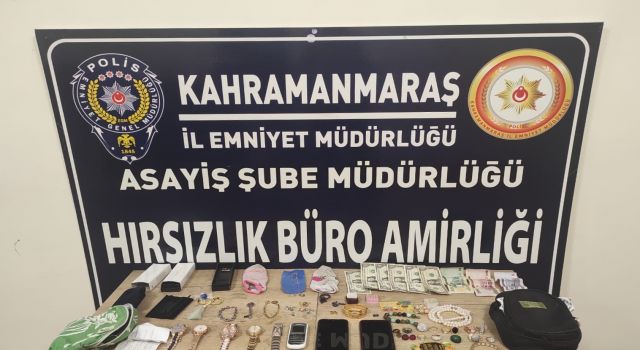 Günübirlik Hırsızlık Şüphelisi 2 Zanlı Yakalandı