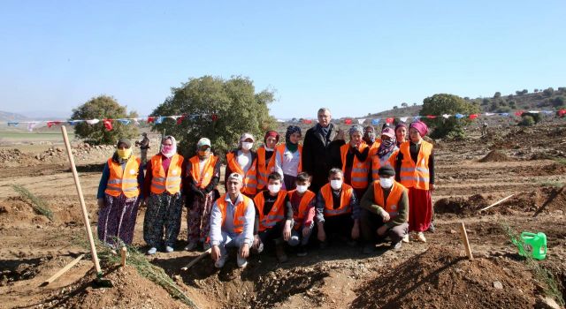 Celalettin Güvenç'in Katkılarıyla Kahramanmaraş-Tayvan ilişkileri 30 000 Fidan Olarak Toprakla Buluştu