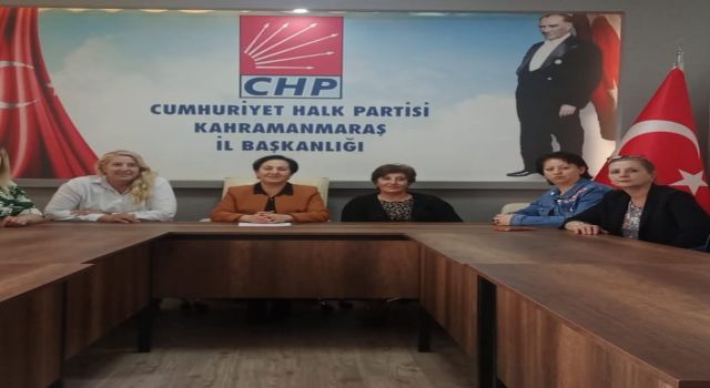 CHP KADIN KOLLARI 81 İLDE EŞZAMANLI BASIN AÇIKLAMASI YAPTI