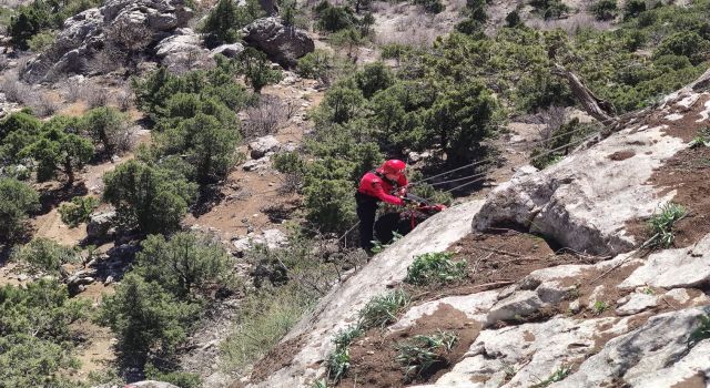 Jandarma'dan Keçi Kurtarma Operasyonu