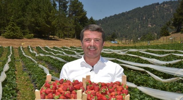 Türkoğlu Belediye Başkanı Osman Okumuş'tan Çiftçiler Günü Mesajı