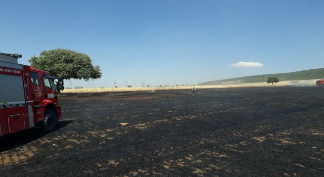 Anız yangınında Hayatını Kaybetti