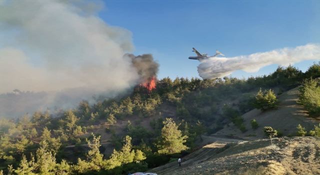 Kahramanmaraş’ta Orman Yangını