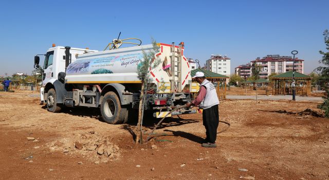 Afşin Millet Bahçesi Yeşilleniyor