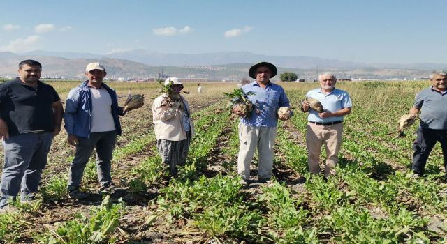 Kahramanmaraş’ta 14 bin 500 Ton Şeker Üretimi 