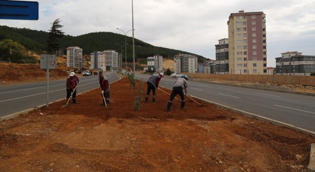 Büyükşehirden Yeşil Harekat