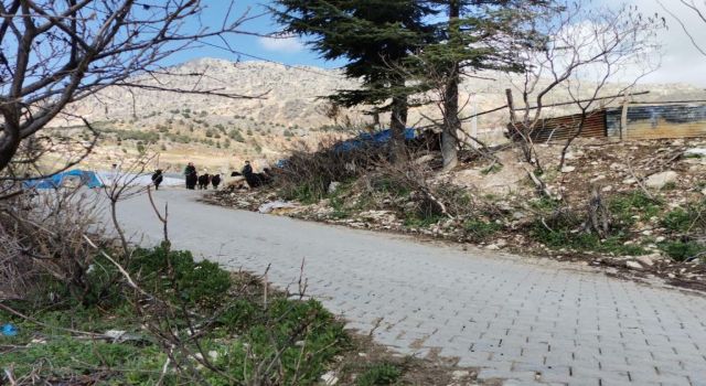 Depremde Kayaların Zarar Verdiği Mahalle İçin Harekete Geçildi 