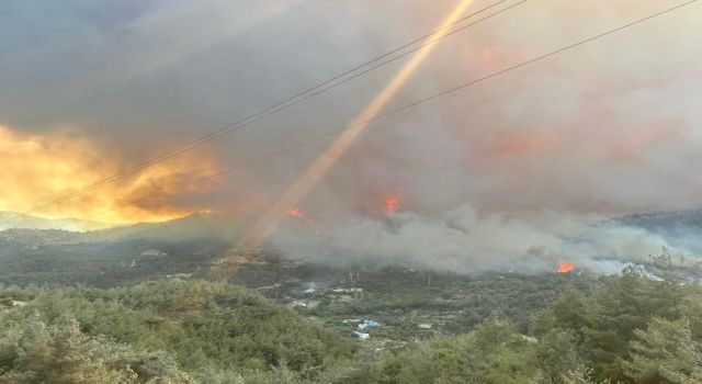 Hatay ve Osmaniye’de Orman Yangını 