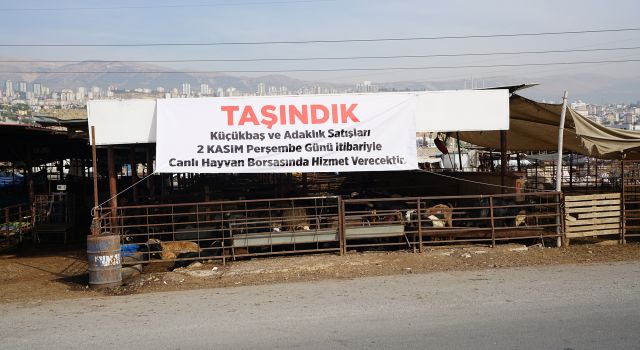 Adaklık Satış Merkezi Canlı Hayvan Borsası’na Taşınıyor