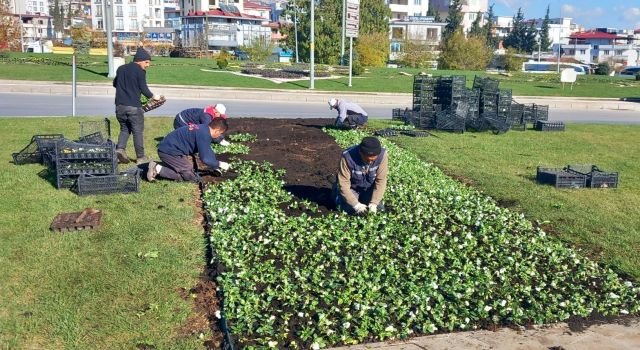 Büyükşehir, Kent Estetiği İçin Sahada