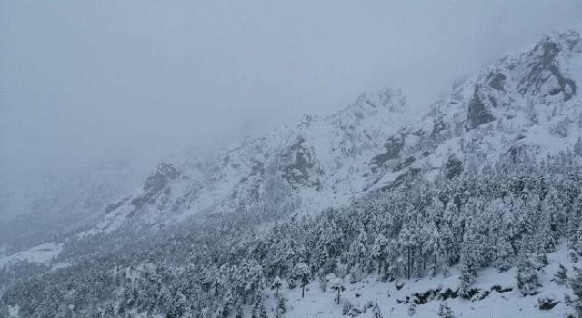 Kahramanmaraş'ta kar etkili oldu 