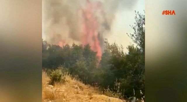 Kahramanmaraş’ta orman yangını