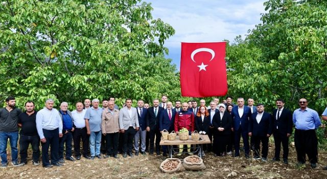 Başkan Toptaş, AB tescilli cevizlerin hasat şenliğine katıldı