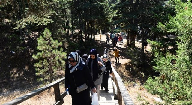 Kadınlarla Baş Başa Doğa Gezileri’nin Yeni Rotası Ali Kayası ve Başkonuş Yaylası Oldu