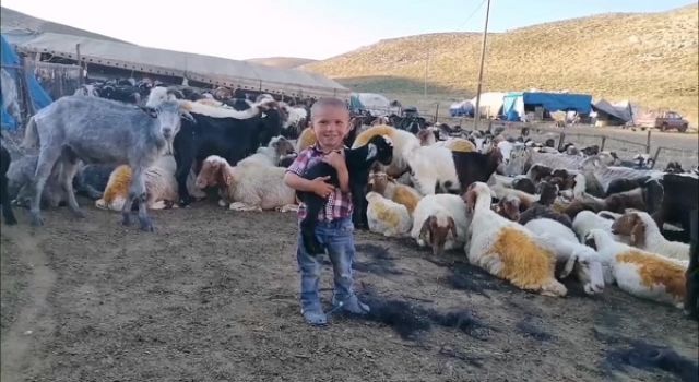 KAHRAMANMARAŞ’TA GÖÇERLERİN YAYLADA ÜRETİMİ SÜRÜYOR