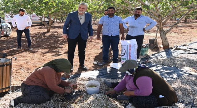 Başkan Görgel: “Pazarcık Fıstığı’nın Tescili İçin Gerekli Süreçleri Başlatıyoruz”