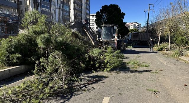 Büyükşehir, Fırtınanın Oluşturduğu Tahribatı Ortadan Kaldırıyor