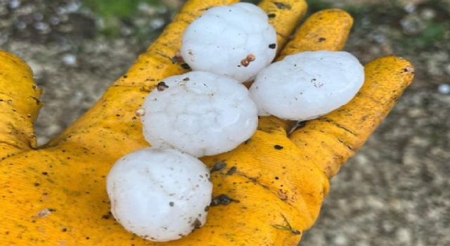 Ceviz büyüklüğündeki dolu yağışı maddi hasara neden oldu