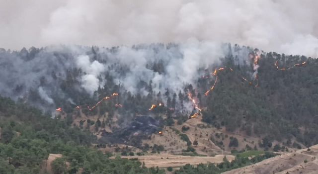 Kahramanmaraş'ta Orman Yangını Kontrol Altında