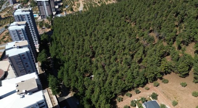 Kahramanmaraş’ta Orman Parkı İhalesine Tepki