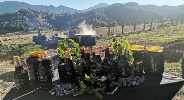 Andırın’da Tescilli Andız Pekmezi Üretimi Başladı