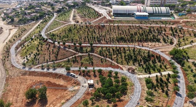 Büyükşehir’in ‘Yeşil Dönüşüm’ Hamlesi Karbon Yutak Alanı’nda Çalışmalar Sürüyor