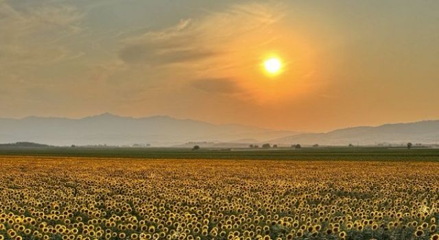 Kahramanmaraş'ta manzara hayran bıraktı 