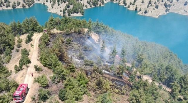 Kahramanmaraş’ta orman yangını 