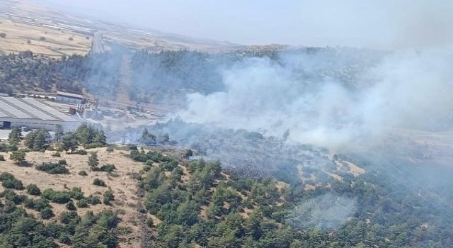 Kahramanmaraş’ta orman yangını kontrol altına alındı