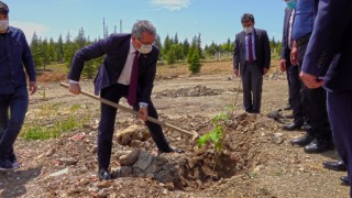 Güngör: “Her Fidan Bir Nefes”