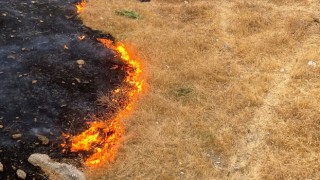 Kahramanmaraş'ta Çıkan Anız Yangını Söndürüldü