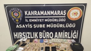 Günübirlik Hırsızlık Şüphelisi 2 Zanlı Yakalandı