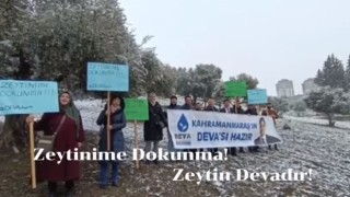 DEVA’DAN ZEYTİNLİK ALANLARIN MADENCİLİĞE AÇILMASINA TEPKİ