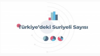 Resmi Verilere Göre Türkiye’deki Suriyeli Sayısı (Mart 2022)