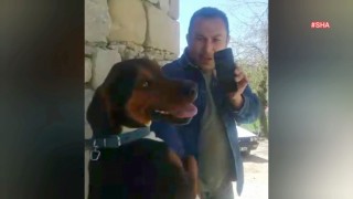 2 Yıl Sonra Sahibine Kavuşan Köpeğin Mutluluğu