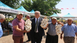 Pazarcık'ta Sarımsak Festivali