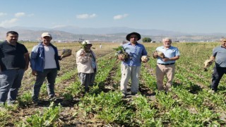 Kahramanmaraş’ta 14 bin 500 Ton Şeker Üretimi 