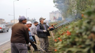 DULKADİROĞLU BELEDİYESİ EKİPLERİ PARK VE BAHÇELERDE BAKIM ÇALIŞMASI YAPTI