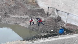 Kahramanmaraş'ta Balık Ölümlerinin Nedeni Belli Oldu