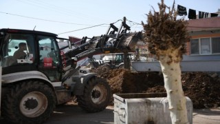 Türkiye Belediyeler Birliği Depremden Etkilenen Belediyelerin Yaralarını Sarıyor