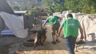 İHH’dan Depremde Yetim Kalan Ailelere Canlı Kurban Bağışı