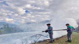 Kahramanmaraş’ta orman yangını 